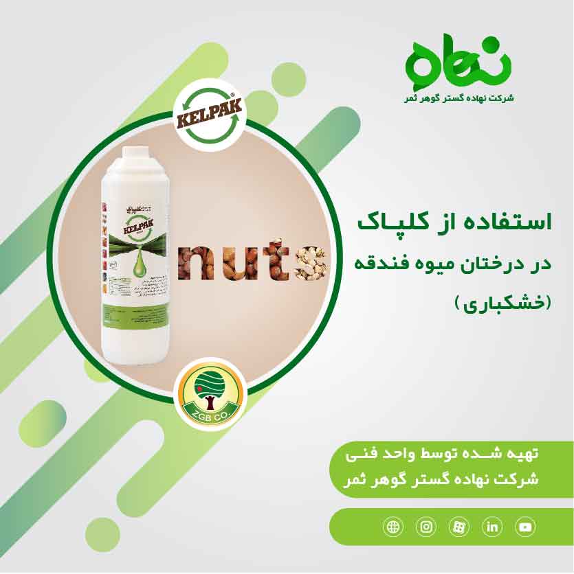 کلپاک در درختان میوه